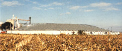 Bell Grain in Deer Creek, IL